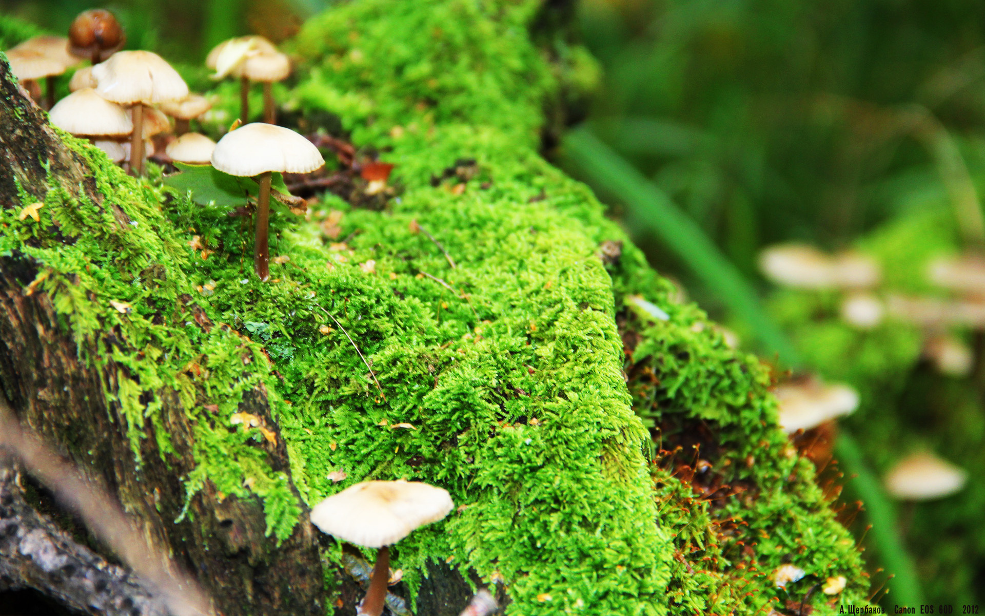 终极魔法，克罗地亚如何用时间错觉末节带走西班牙