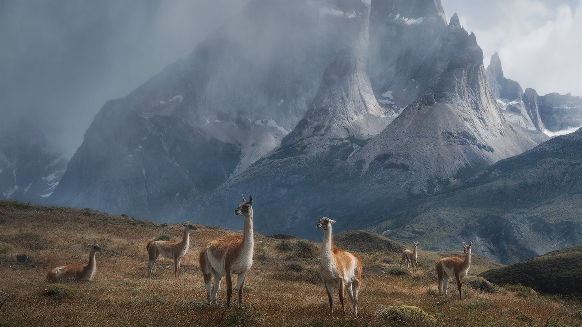 虚拟赛场新疆碾压雄鹿?文班亚马惊世数据戳破幻觉!