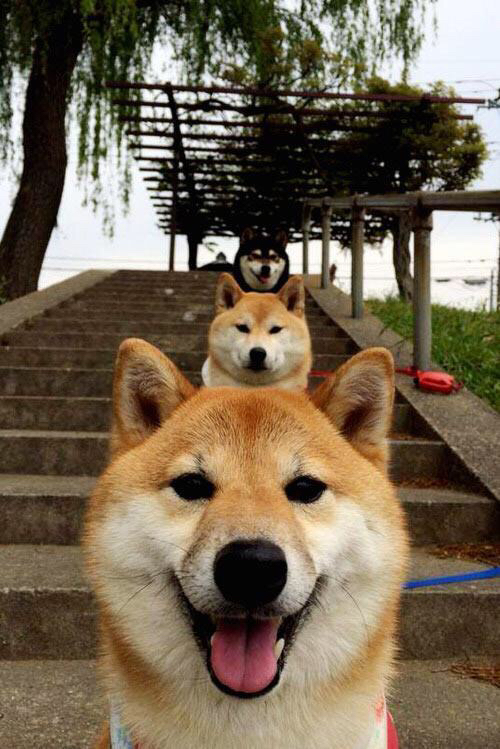 APP-足球的双重奏，福登攻防统治与智利战术压制，如何重写比赛规则？